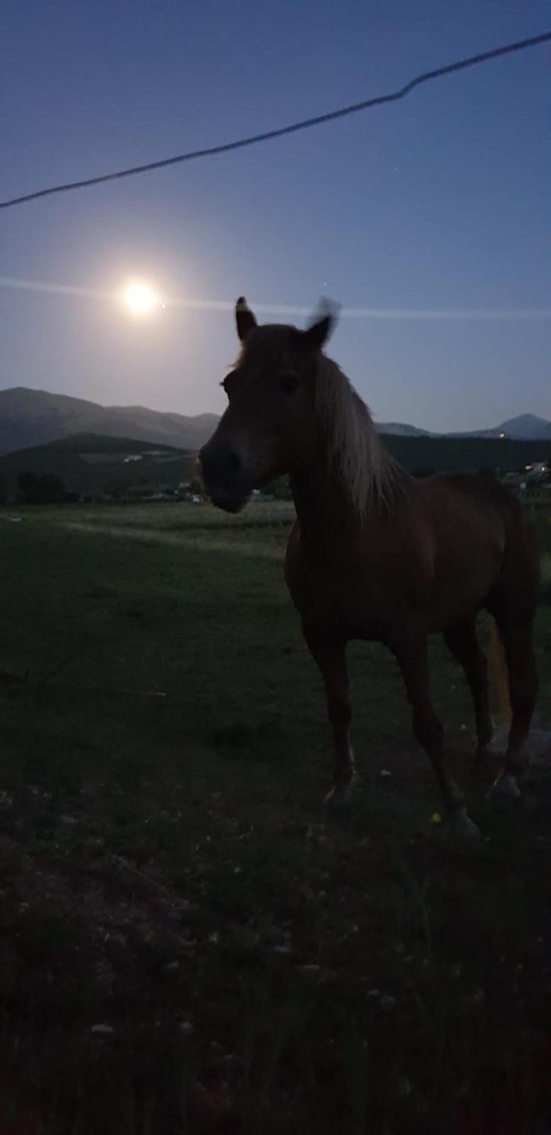 Il Casale San Martino Bed and Breakfast Νόρτσια Εξωτερικό φωτογραφία